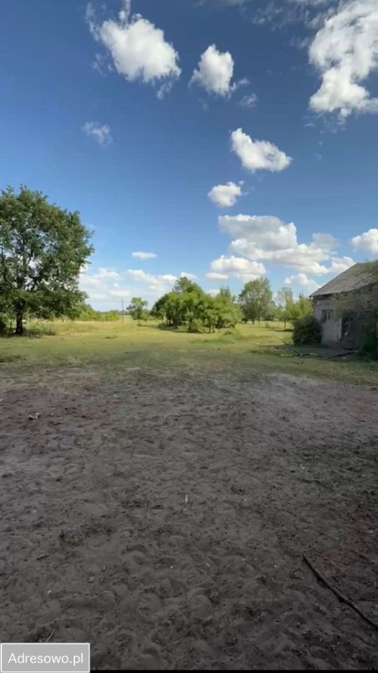 Działka siedliskowa Bałdrzychów. Zdjęcie 6