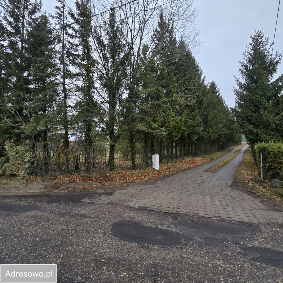 Działka rolno-budowlana Bolechowo. Zdjęcie 12