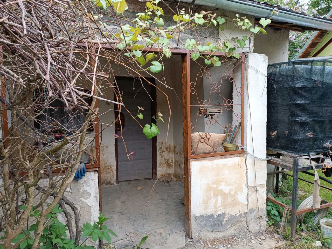 Działka rod Nysa, ul. Bolesława Śmiałego. Zdjęcie 7