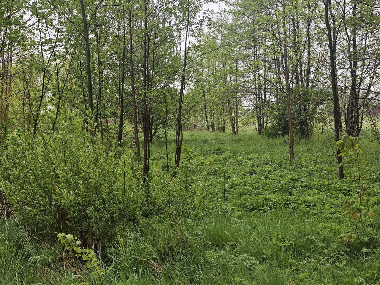 dom wolnostojący, 2 pokoje Sielec. Zdjęcie 25