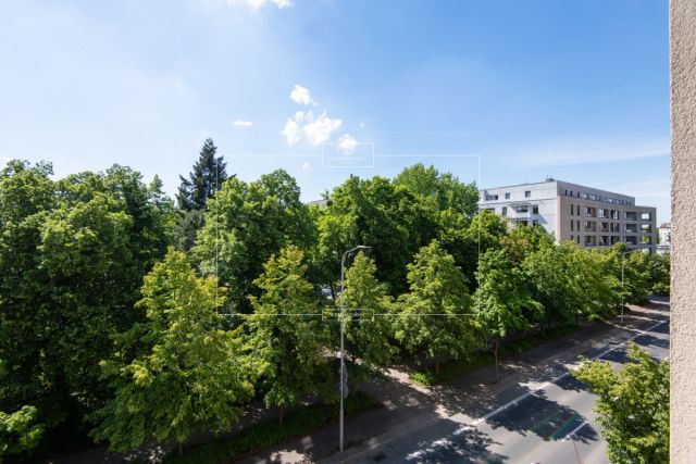 Mieszkanie 2-pokojowe Poznań Centrum, ul. Kazimierza Wielkiego. Zdjęcie 18