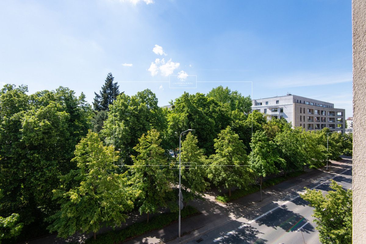 Mieszkanie 2-pokojowe Poznań Centrum, ul. Kazimierza Wielkiego. Zdjęcie 18