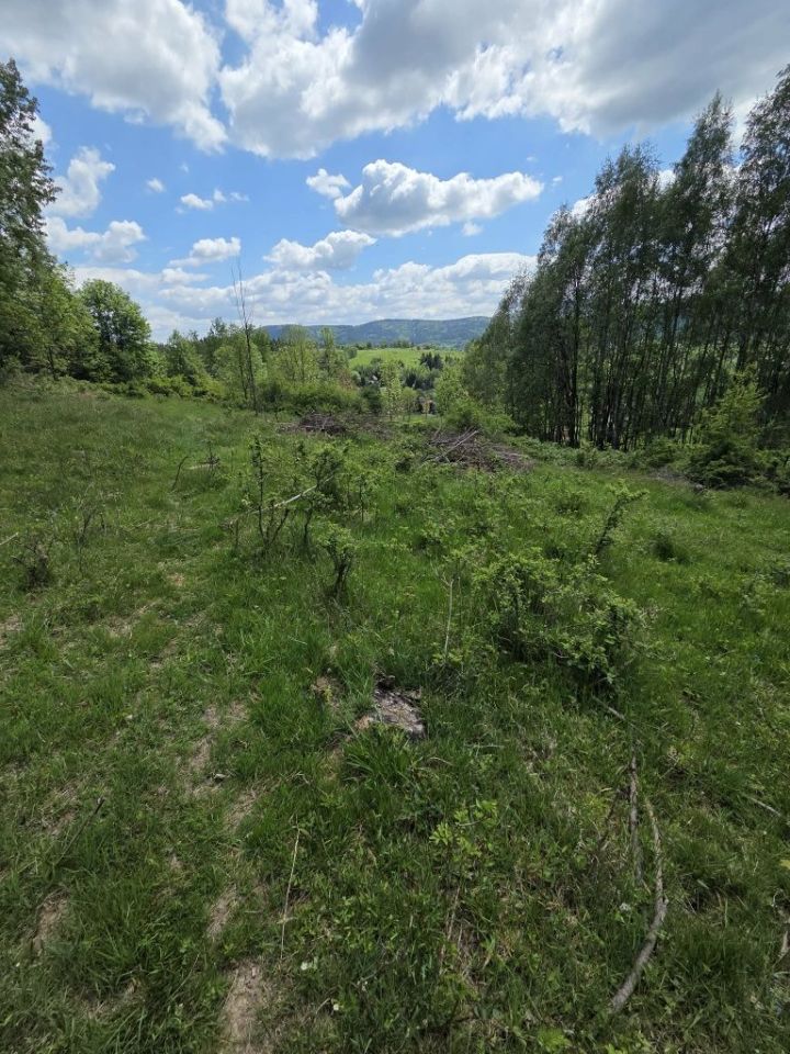 Działka rolna Kurów. Zdjęcie 2
