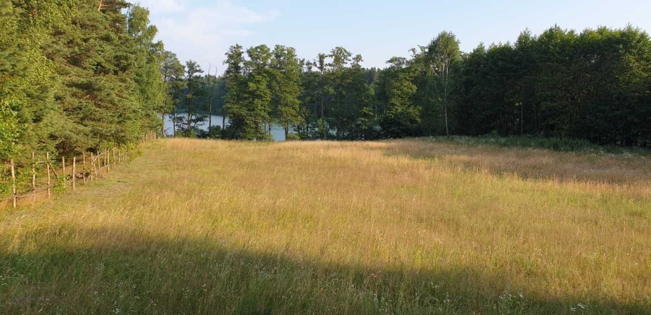 Działka rolna Świerkocin