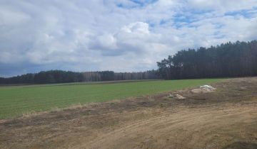 Działka rolno-budowlana Rojewo