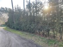 Działka budowlana Morzyczyn, ul. Czapli. Zdjęcie 2