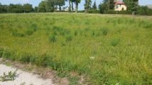 Działka budowlana Biskupice