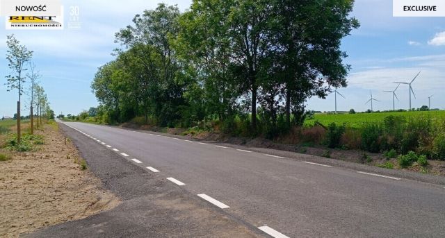 Działka siedliskowa Parsów. Zdjęcie 14