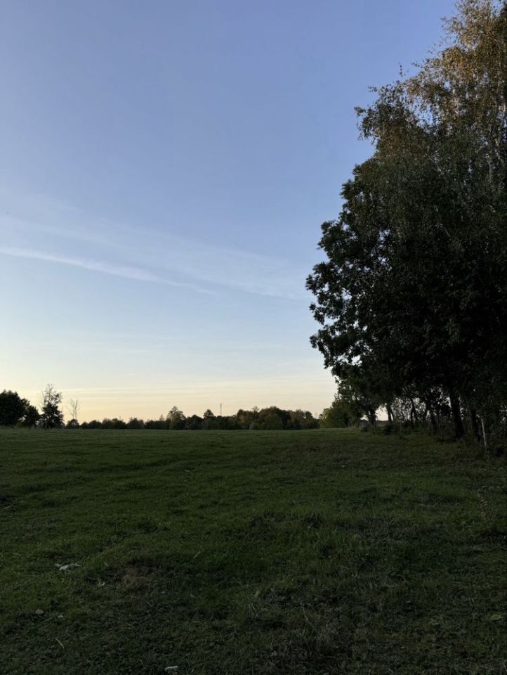 Działka rolno-budowlana Leśniewo. Zdjęcie 6