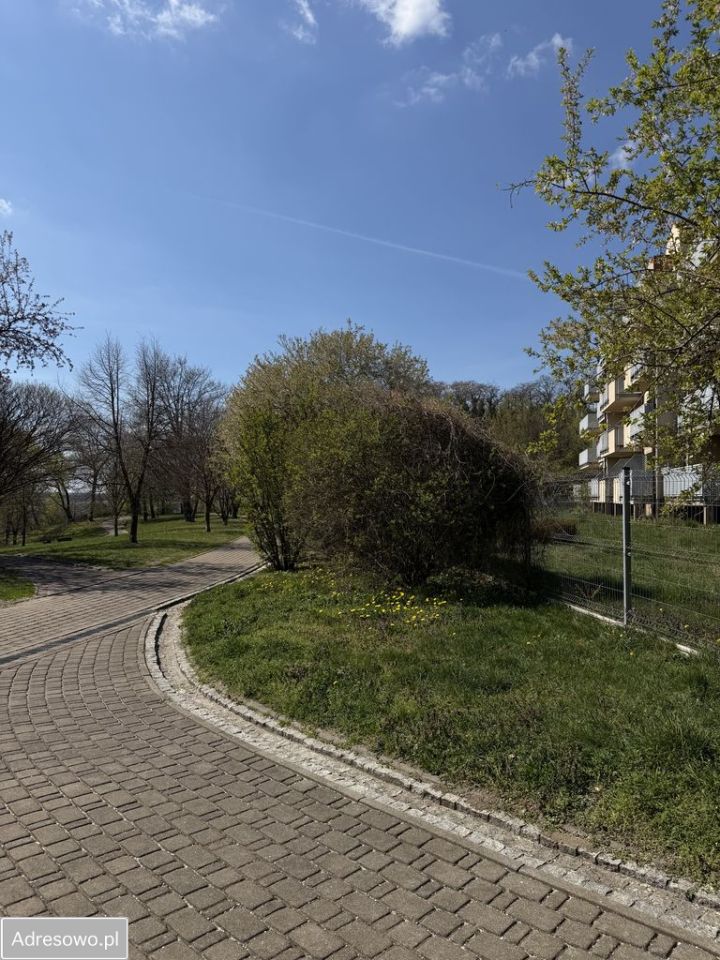 Mieszkanie 3-pokojowe Płock, ul. Kazimierza Wielkiego. Zdjęcie 3