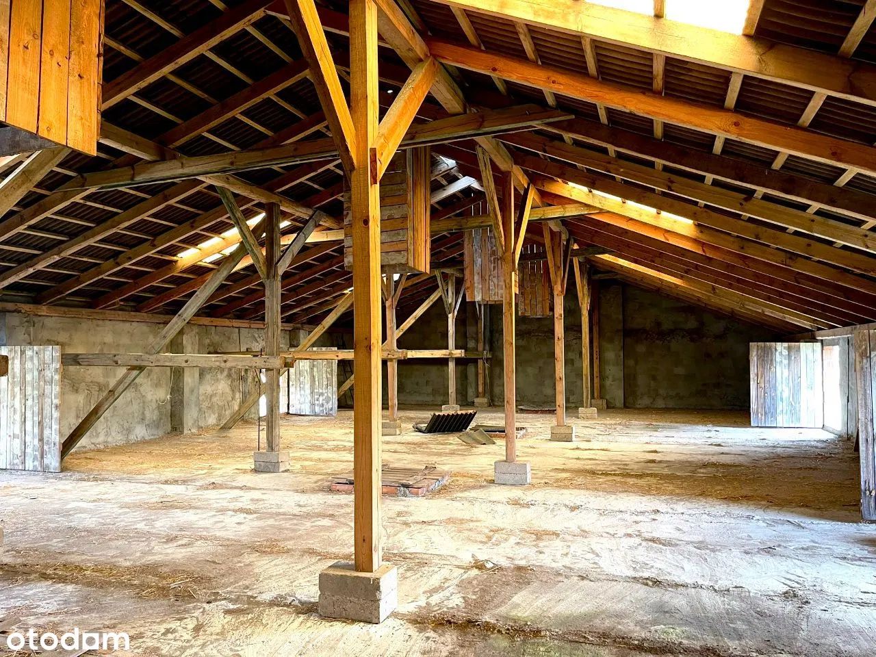 Hala/magazyn Rudniki. Zdjęcie 2