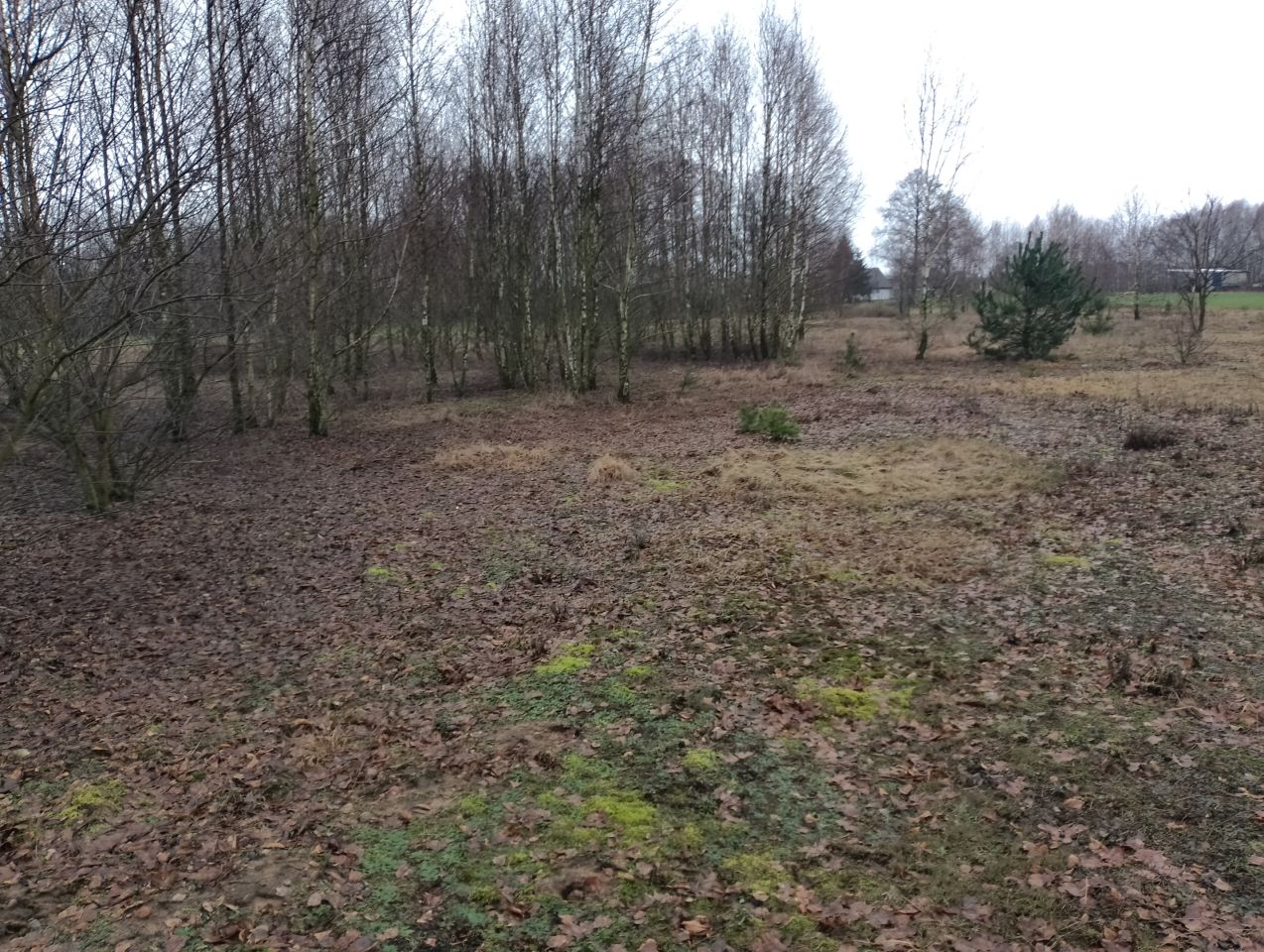 Działka budowlana Cisse. Zdjęcie 7