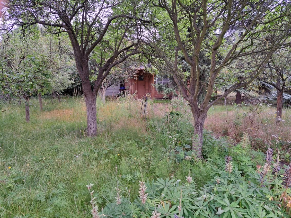 Działka rod Warszawa Mokotów, ul. Jana III Sobieskiego. Zdjęcie 4