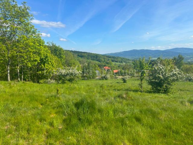 Działka inwestycyjna Komarno. Zdjęcie 10