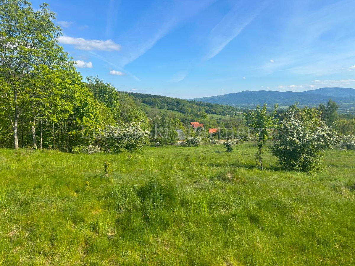 Działka inwestycyjna Komarno. Zdjęcie 10