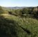 Działka budowlana Koziniec. Zdjęcie 3