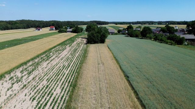 Działka rolno-budowlana Retniowiec. Zdjęcie 1