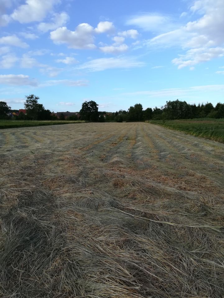 Działka rolno-budowlana Barnkowo. Zdjęcie 3