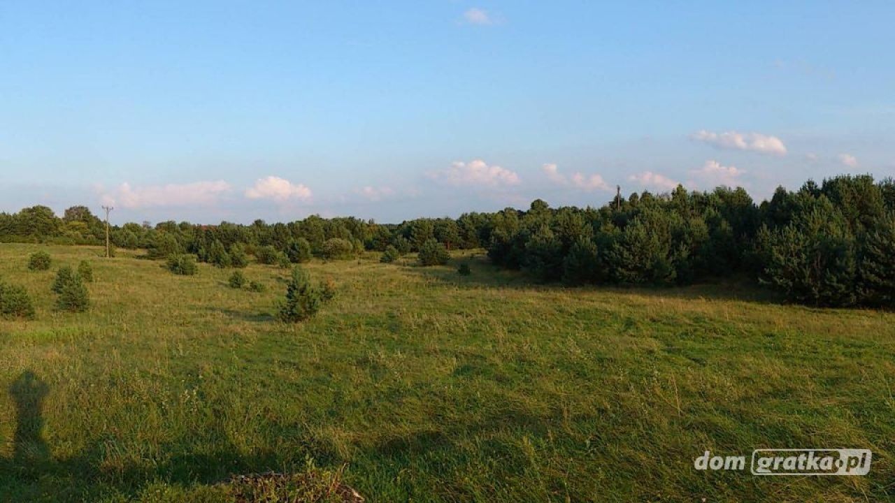 Działka budowlana Jabłonka. Zdjęcie 8