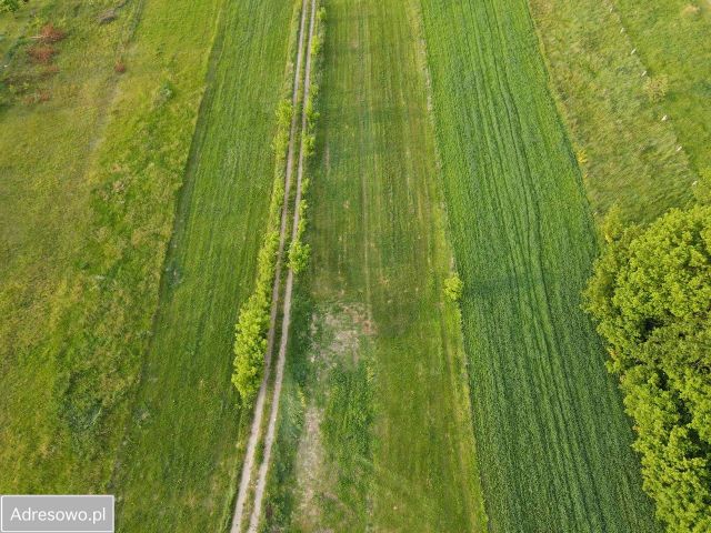 Działka rolno-budowlana Stare Kupiski. Zdjęcie 1