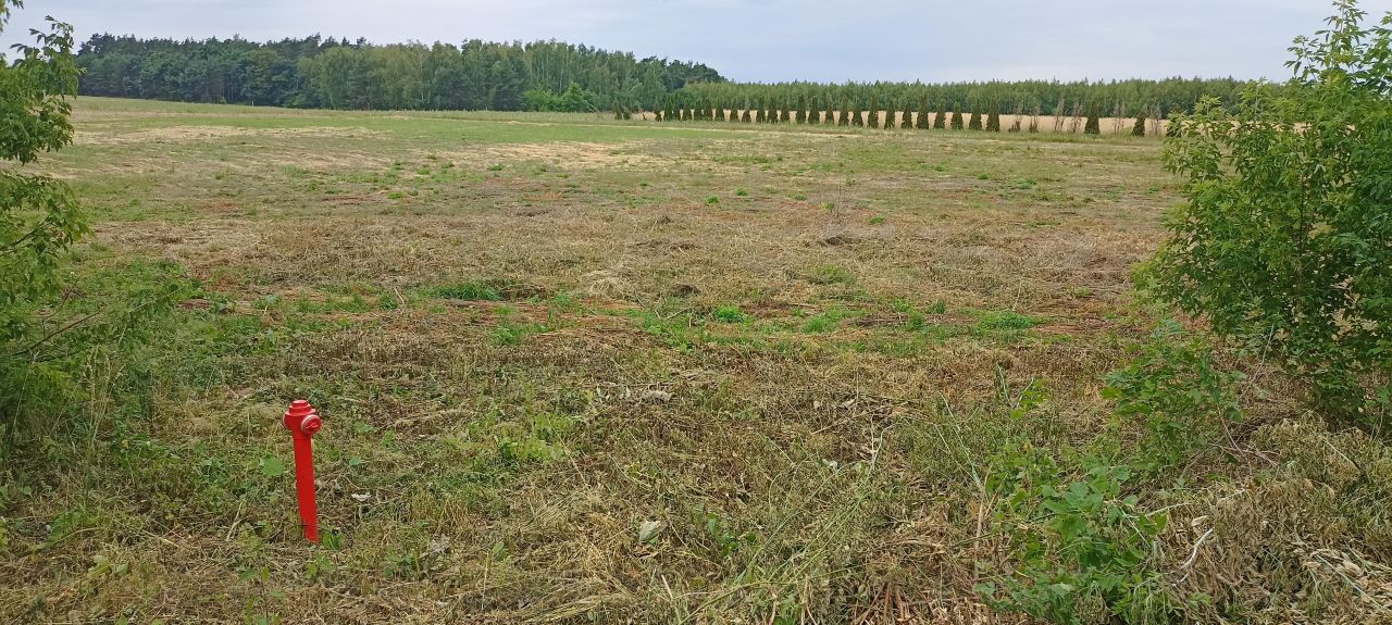 Działka rolno-budowlana Grabowiec. Zdjęcie 7