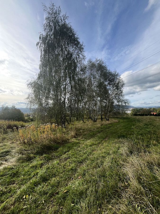 Działka budowlana Nowy Sącz, ul. Zdrojowa. Zdjęcie 6