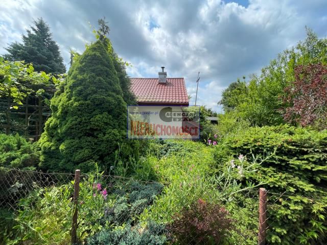 dom wolnostojący, 2 pokoje Wólka Wiciejowska. Zdjęcie 5