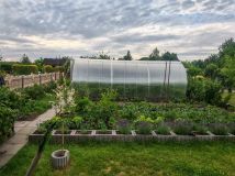 Działka rod Krapkowice. Zdjęcie 1