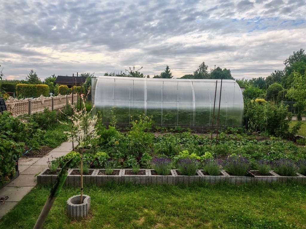 Działka rod Krapkowice. Zdjęcie 2