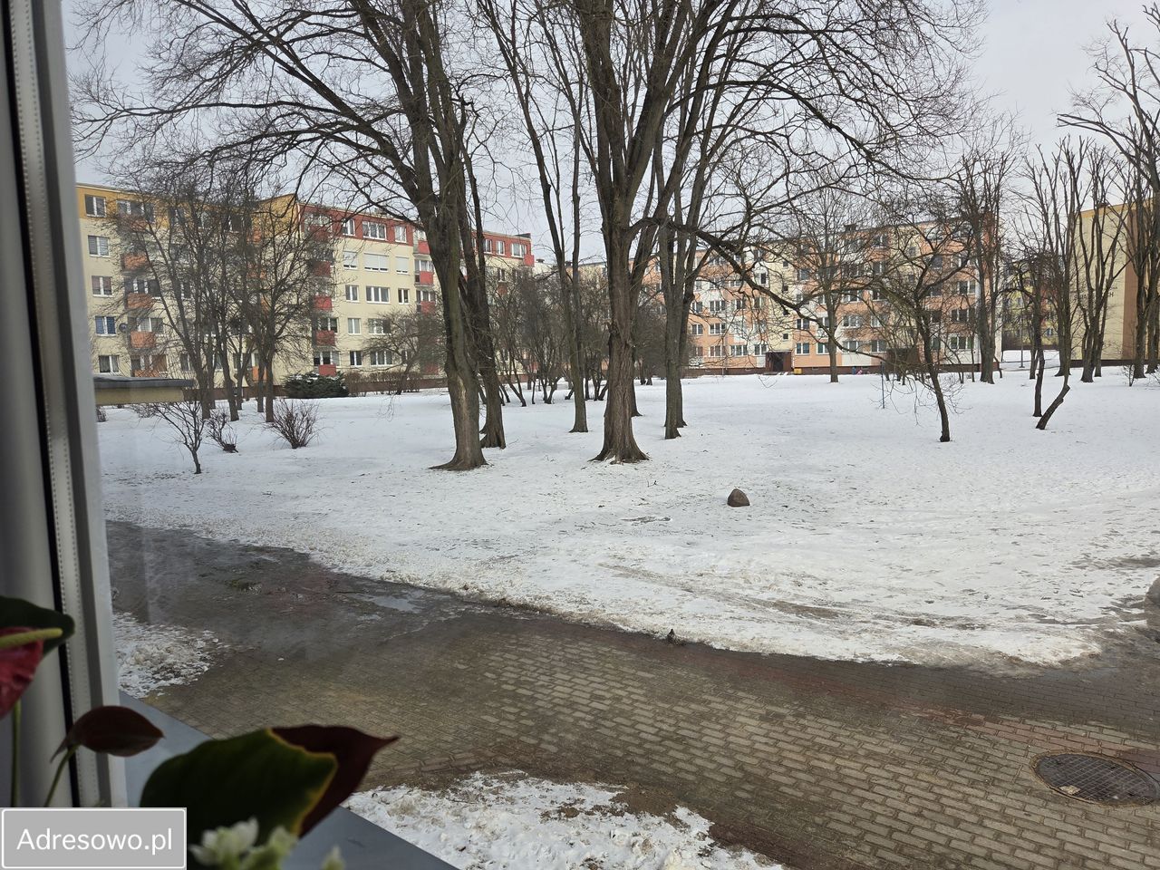 Mieszkanie 3-pokojowe Grudziądz Strzemięcin, ul. Śniadeckich. Zdjęcie 8