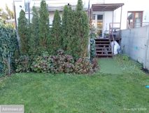 Mieszkanie 3-pokojowe Warszawa Zacisze, ul. Płońska. Zdjęcie 1