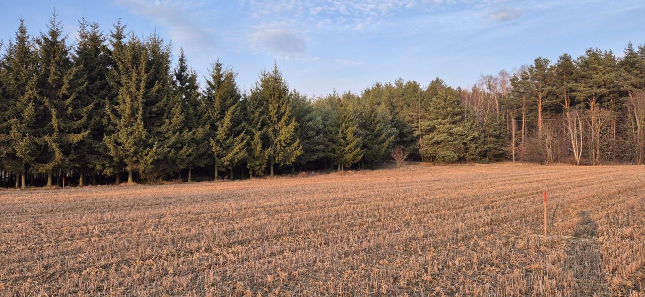 Działka budowlana Osie. Zdjęcie 3