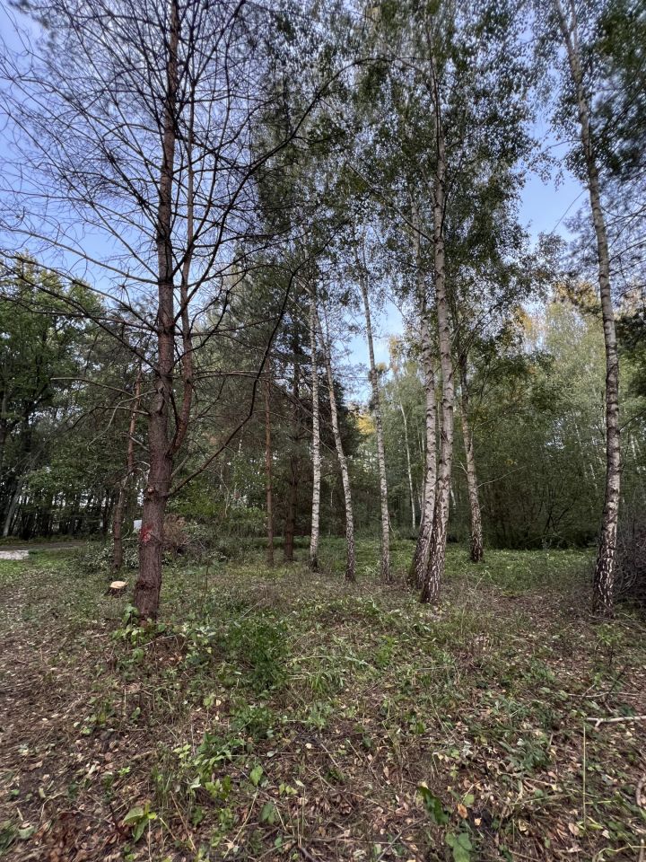 Działka budowlana Nowy Prażmów, ul. Wiśniowa. Zdjęcie 3