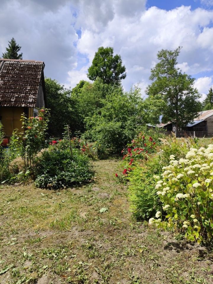 Działka siedliskowa Wesołowo. Zdjęcie 8