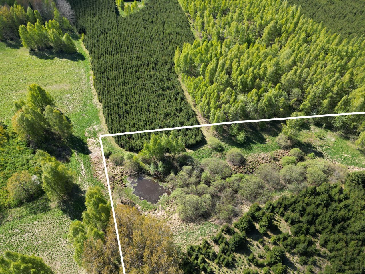 Działka rolna Kabikiejmy. Zdjęcie 6