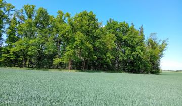 Działka budowlana Lipno