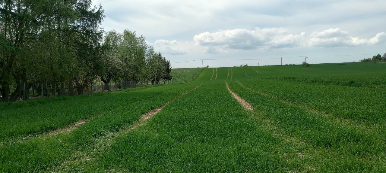 Działka rolno-budowlana Ulina Mała. Zdjęcie 5
