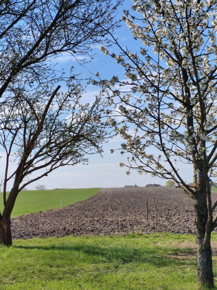 Działka budowlana Pniówek Kolonia Górna, PNIÓWEK. Zdjęcie 1