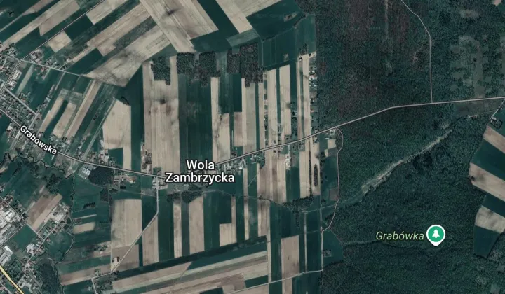 Działka budowlana Wola Zambrzycka, Wola Zambrzycka