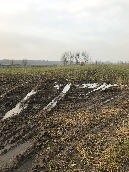 Działka rolno-budowlana Lulinek. Zdjęcie 5