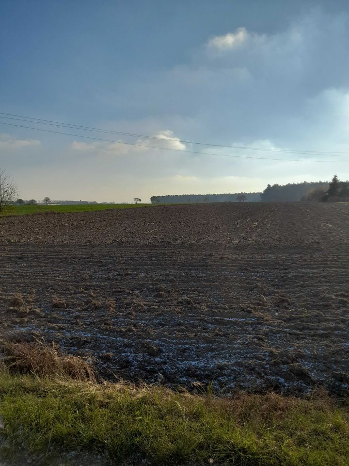 Działka budowlana Skarżyn. Zdjęcie 4