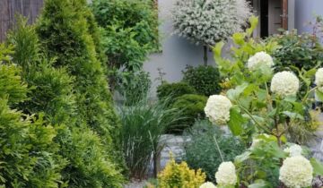 dom szeregowy, 5 pokoi Smolec, ul. Jagodowa