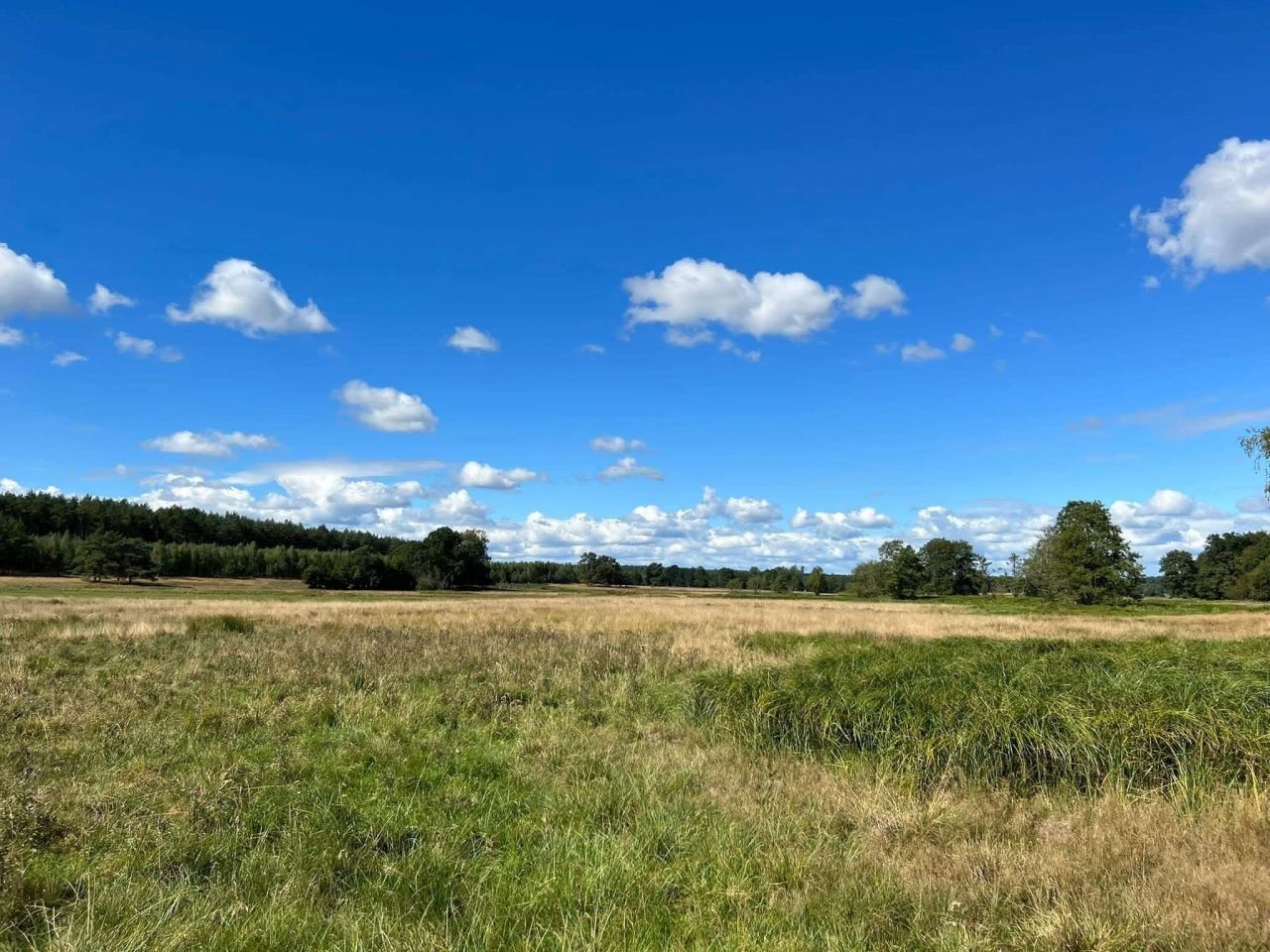 Działka rolna Trzebielino, Trzebielino. Zdjęcie 5