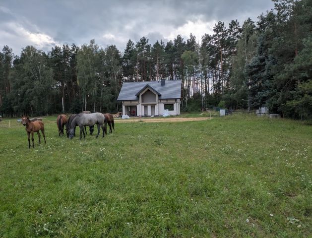 dom wolnostojący, 6 pokoi Gulczewo Podrybnie. Zdjęcie 3