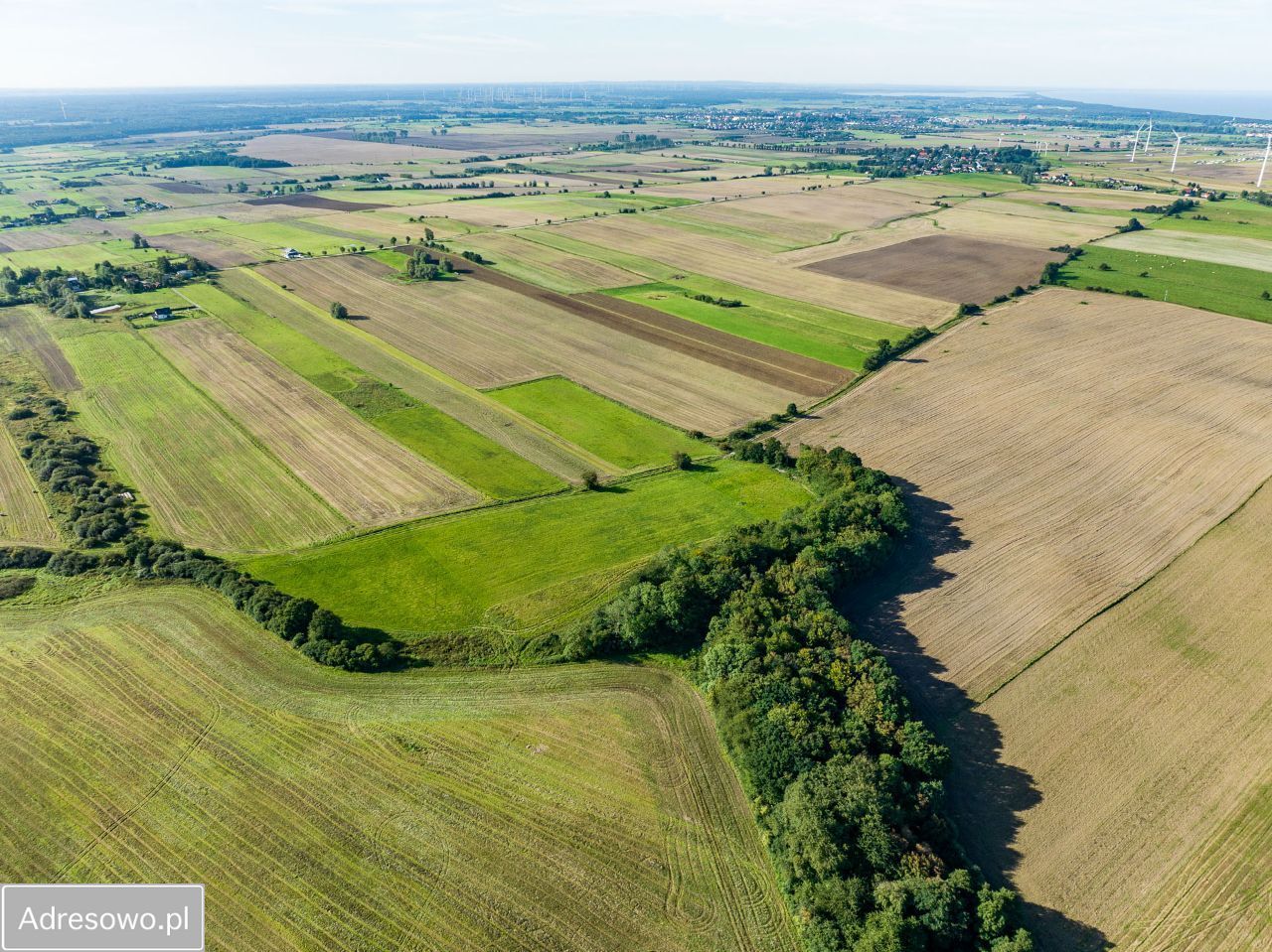 Działka rolna Zakrzewo. Zdjęcie 6