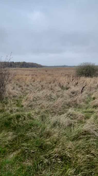 Działka rekreacyjna Barzowice. Zdjęcie 3