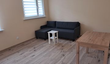 Mieszkanie 1-pokojowe Poznań Dębiec, ul. Osinowa