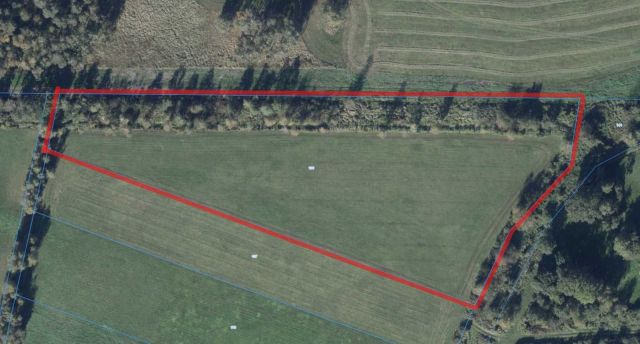 Działka rolna Wilkowo Polskie. Zdjęcie 1