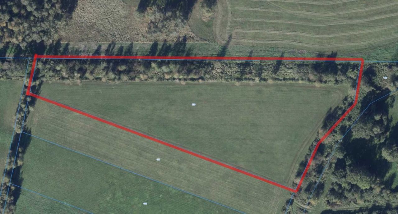 Działka rolna Wilkowo Polskie