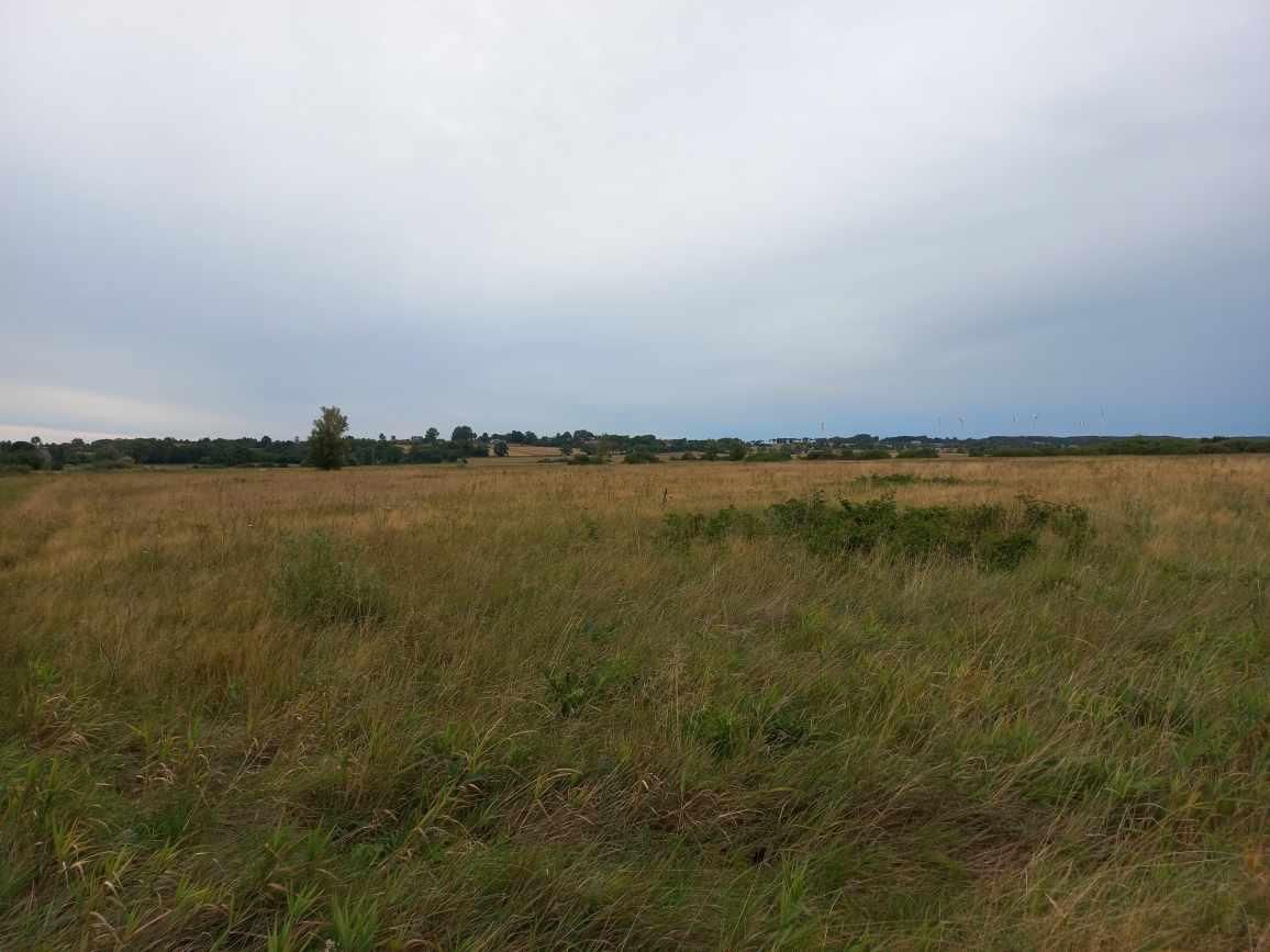 Działka rolna Kopnica. Zdjęcie 2